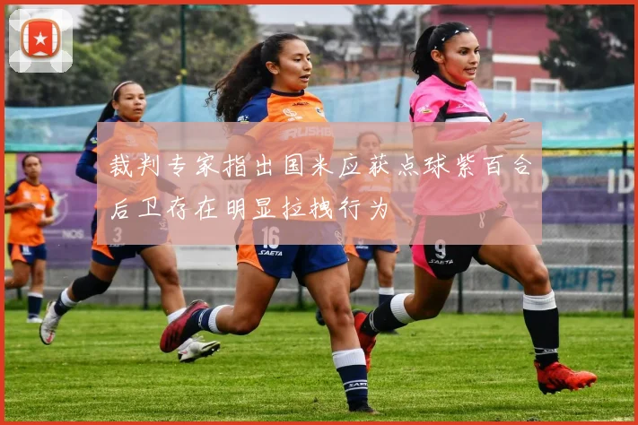 裁判专家指出国米应获点球紫百合后卫存在明显拉拽行为