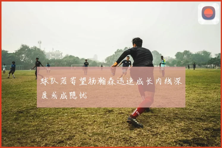 球队若寄望杨瀚森迅速成长内线深度或成隐忧