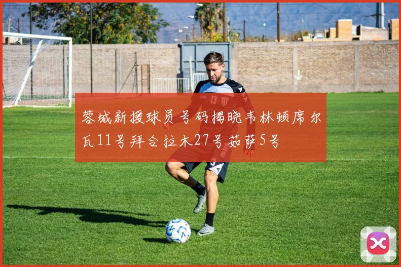 蓉城新援球员号码揭晓韦林顿席尔瓦11号拜合拉木27号茹萨5号