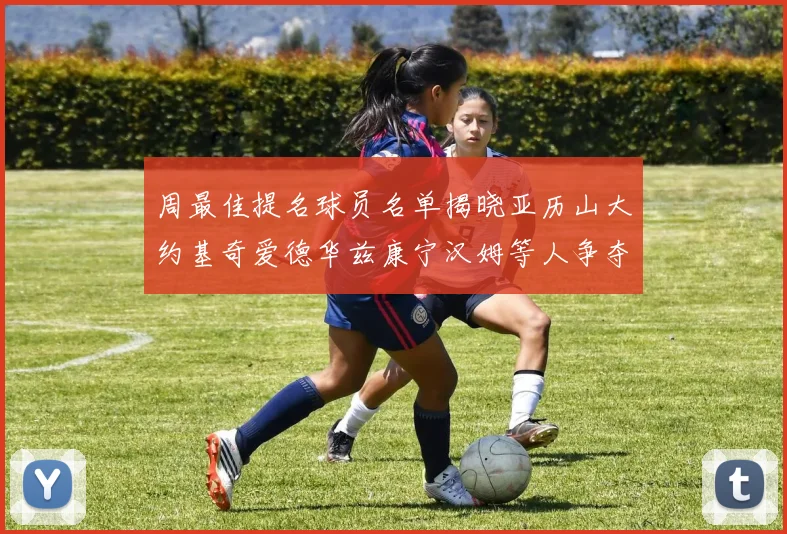 周最佳提名球员名单揭晓亚历山大约基奇爱德华兹康宁汉姆等人争夺荣誉