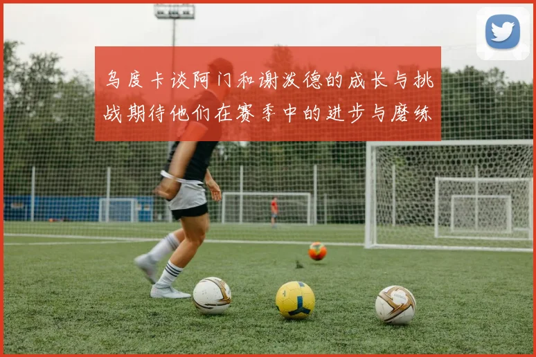 乌度卡谈阿门和谢泼德的成长与挑战期待他们在赛季中的进步与磨练
